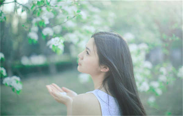 献县验血查男女几周可以验(验血查男女结果图)